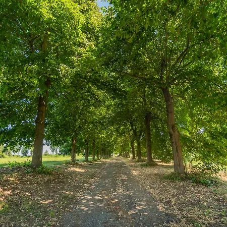 With Pool In Unesco, 4 Room, Parking E Free Wifi San Damiano dʼAsti